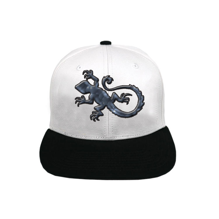 ACE embroidery snapback caps for men for wholesale for fashion