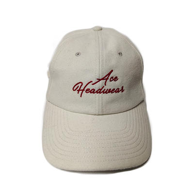ACE New style white 6 panel flat embroidery sports baseball caps hats