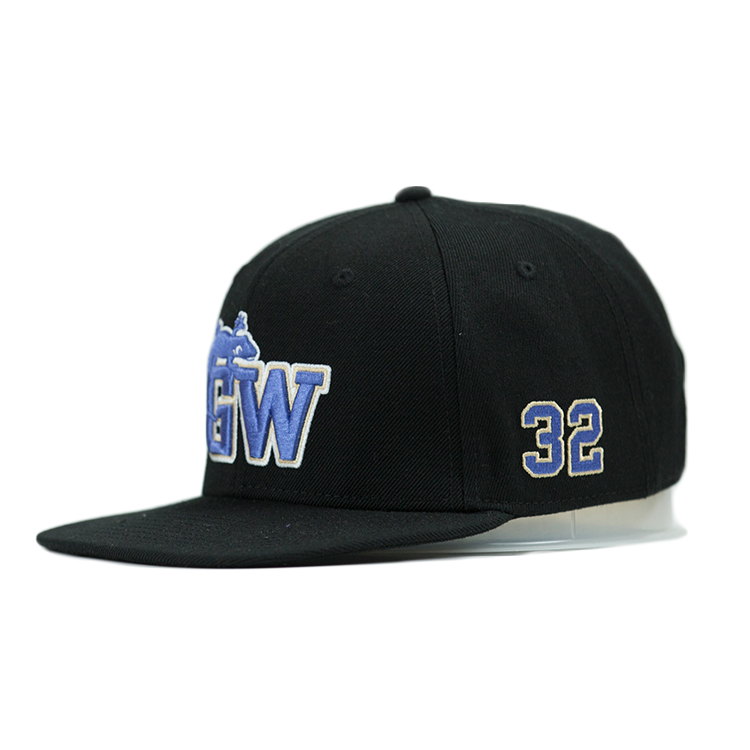 ACE tiger blue snapback hat free sample for fashion-5