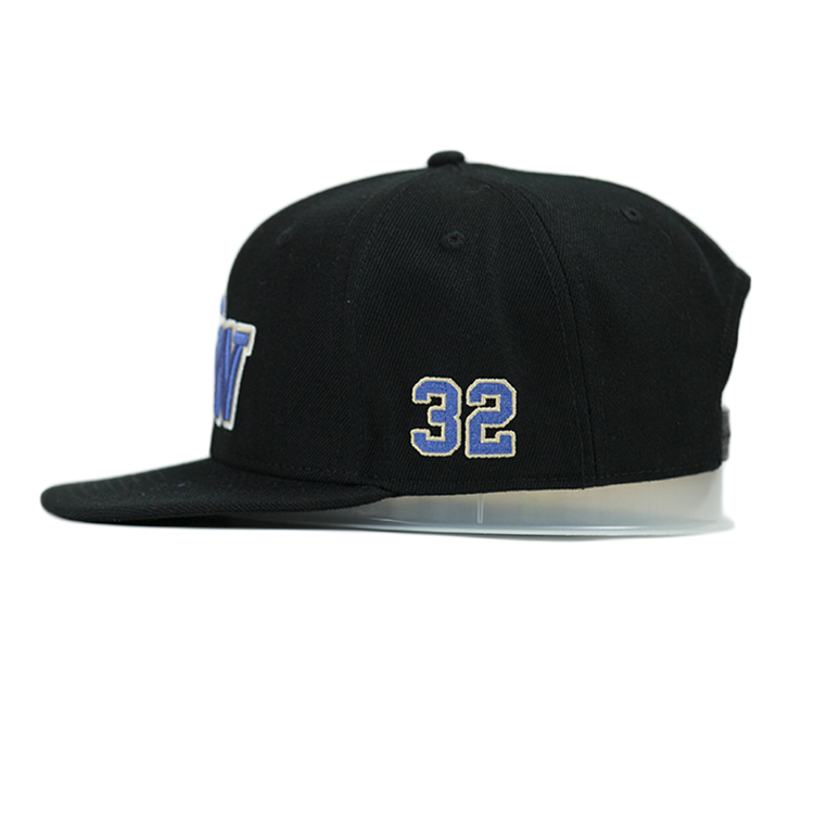 ACE tiger blue snapback hat free sample for fashion-6