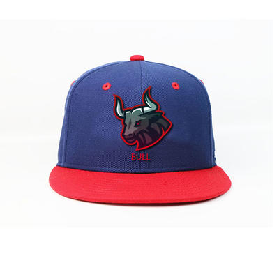 Get free sample Wholesale custom high quality 6 panel cap rubber patch hip hop snapback hat with snapback