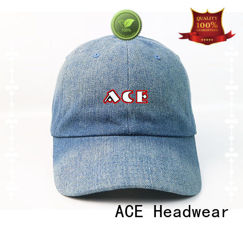ACE baseball sports baseball cap free sample for baseball fans