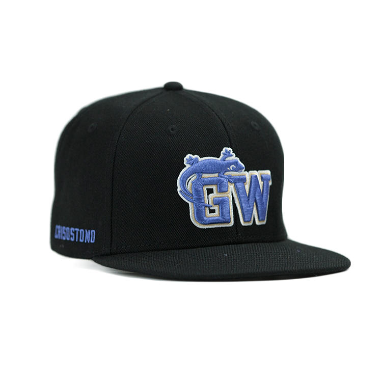 ACE tiger blue snapback hat free sample for fashion-1