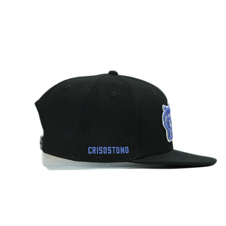 ACE tiger blue snapback hat free sample for fashion-2