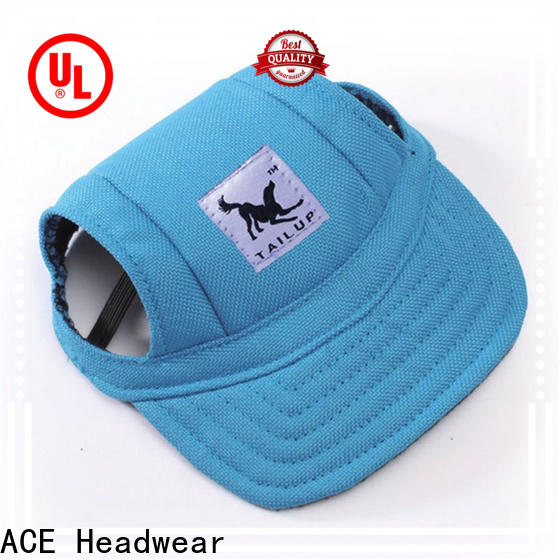 ACE hat best snapback hats OEM for fashion
